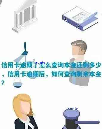 信用卡逾期查询本金流水怎么查：完整步骤与注意事项