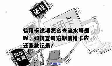 信用卡逾期查询本金流水怎么查：完整步骤与注意事项