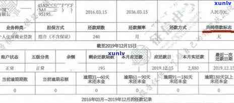 新信用卡逾期本金流水记录查询及相关问题解答