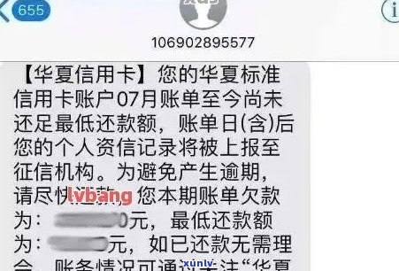 全面了解翡翠证书：如何鉴别真伪以及需要哪些类型的证书？