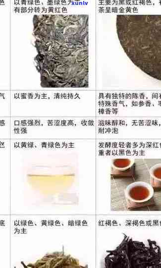 大叶红普洱茶的价格走势、品质等级与市场行情分析