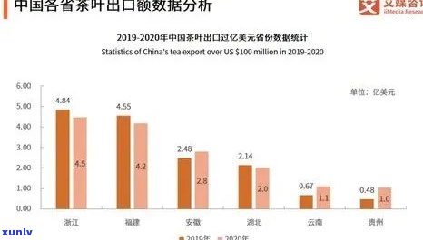 普洱大叶茶市场行情分析：价格波动、品质特点及投资价值