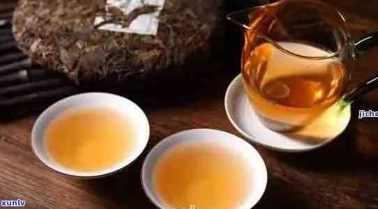 普洱茶搭配指南：什么饮料与普洱茶最相宜？