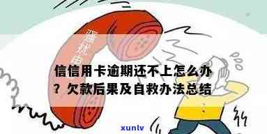 信信用卡逾期还不上怎么办：自救指南与后果分析