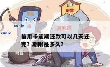 逾期还款后多久能够还清信用卡欠款：解答与建议