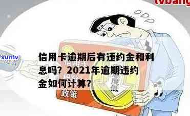 2021年信用卡逾期违约金全面解析：计算 *** 、影响及如何避免