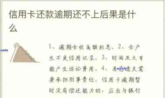 嘉县信用卡逾期还款指南：常见问题解答、应对策略和相关政策解读