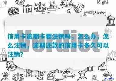 信用卡逾期后如何选择合适的卡进行注销？全方位解决用户疑问