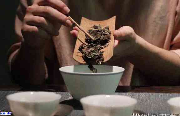 如何正确选择和冲泡普洱茶：一个人的泡茶技巧与经验分享