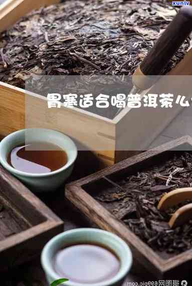 老寒胃能喝普洱茶吗