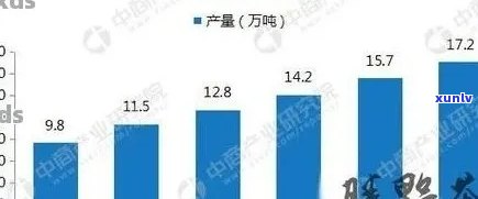 探究普洱茶叶价格：一叶成茗的消费水平及其品质影响