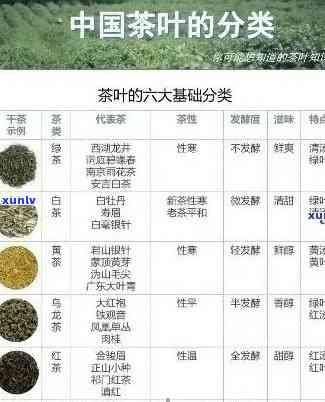 一叶成名茶叶价格及种类全面解析：如何挑选适合自己口味的茶叶？