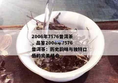 2006年珍藏版云南普洱茶：稀世之品，品味历与传承