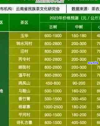 普洱茶拍卖价格一览表：最新行情、品级分类和市场趋势一应俱全