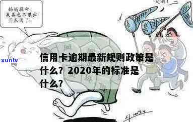 2020年信用卡逾期政策全方位解析：如何避免逾期、处理逾期及影响信用评分