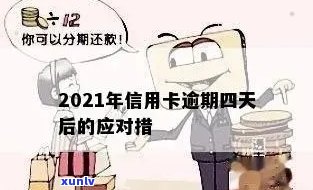 2021年信用卡逾期还款新规定：理解、影响与应对策略