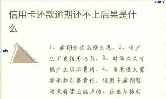 信用卡逾期还款的法律责任和后果：详细解析及相关政策解读