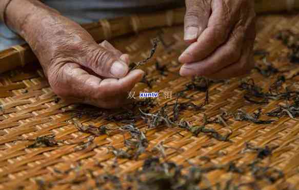 经典普洱茶 *** 艺术：一款传承千年的代表作