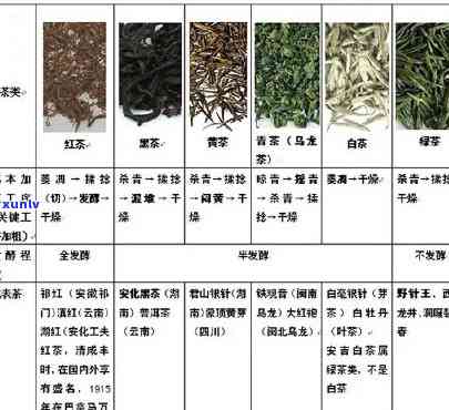 普洱茶等级标示的重要性及其对茶叶品质的影响