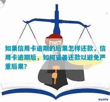 信用卡逾期还款可能产生的后果与影响：深度解析和避免指南