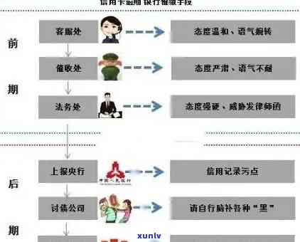 新信用卡逾期记录的去除策略：详析报告修改步骤与关键要点