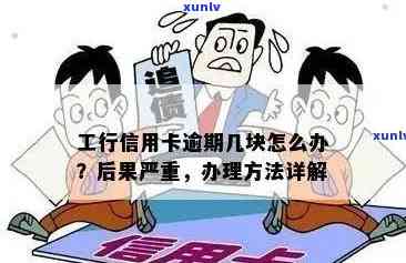 工行信用卡逾期问题全面解决方案：投诉 *** 、处理流程与注意事项一应俱全