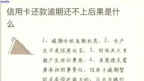 信用卡逾期还款的法律责任和后果：详细规定与解读