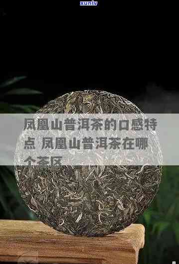 凤凰山普洱茶的价格及独特特点