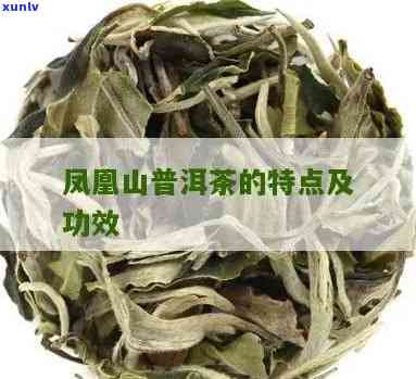 凤凰山普洱茶的价格及独特特点