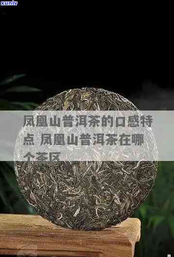 凤凰山普洱茶好不好