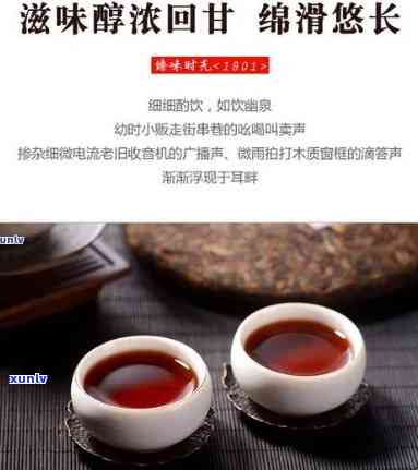 观臻道普洱茶价格：每瓶多少钱？