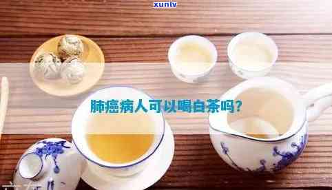 胰腺癌患者是否可以饮用白茶？