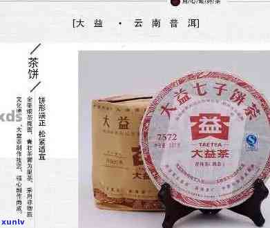 金大益普洱茶市场价格、投资分析、品质特点、新茶上市、古树茶收藏价值