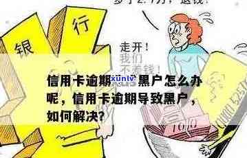 逾期黑户是否可以申请信用卡？安全吗？