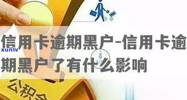 逾期黑户申请信用卡吗