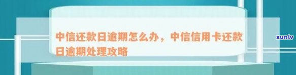 中信信用卡逾期还款攻略：错过还款日还有补救机会吗？