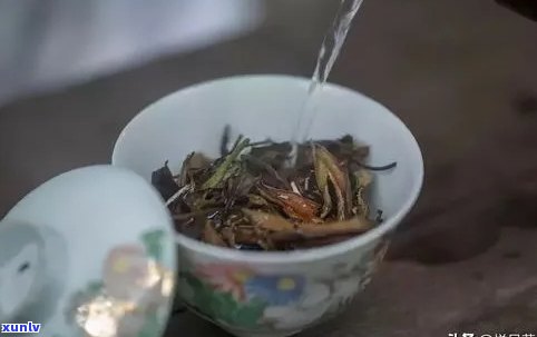 普洱茶泡法：多少次合适，如何选择水度与时间？