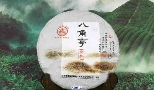 八角亭普洱茶叶网：专注于云南大叶种普洱茶的品质与文化的 *** 平台