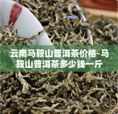 马鞍山普洱茶多少钱一斤价格表及古树茶报价