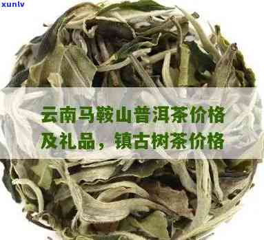 马鞍山普洱茶多少钱一斤价格表及古树茶报价