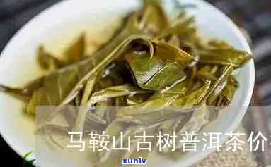 马鞍山普洱茶多少钱一斤价格表及古树茶报价