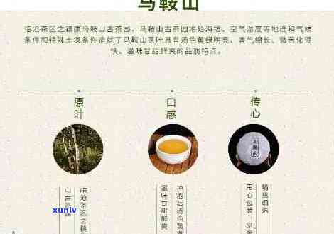 马鞍山特色普洱生茶：一款融合古韵与现代口感的茶叶佳品