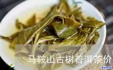 普洱茶马鞍山古树茶价格表与口感特点