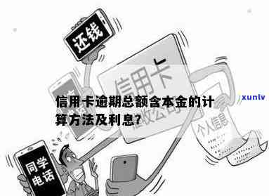 信用卡逾期利息是否包含在应还本金中？了解详细计算 *** 以避免额外支出