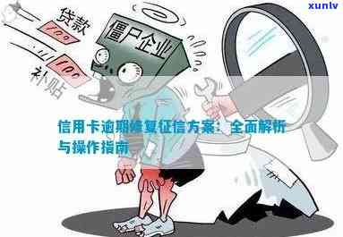 信用卡逾期后如何进行修复和分期申请：完整指南