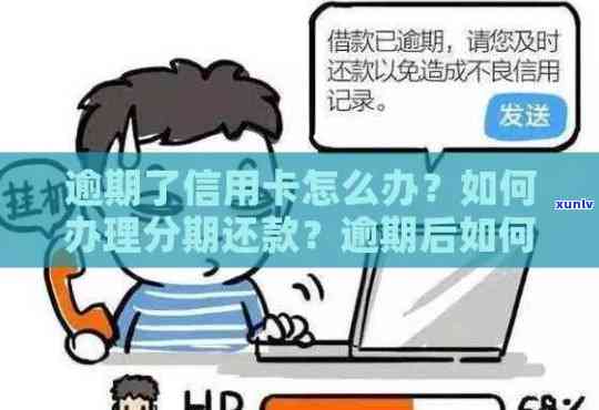 信用卡逾期后如何进行修复和分期申请：完整指南