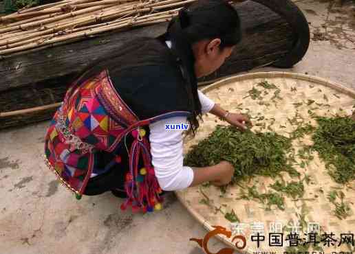 云南大马帮茶叶：传统古法 *** 的纯净茗香