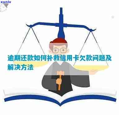 信用卡逾期还款难题，专业代还服务助您解困