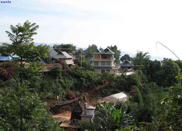 普洱茶四大原产地及其特点：哪个地区的茶叶最值得一试？