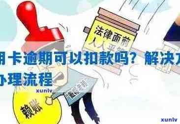 信用卡逾期还款通知：如何处理、后果及解决方案全方位解析